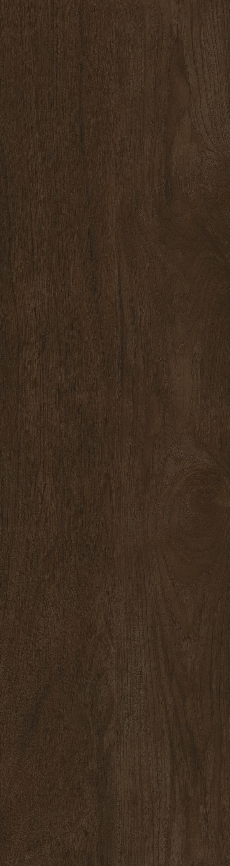 COCOA VENEER