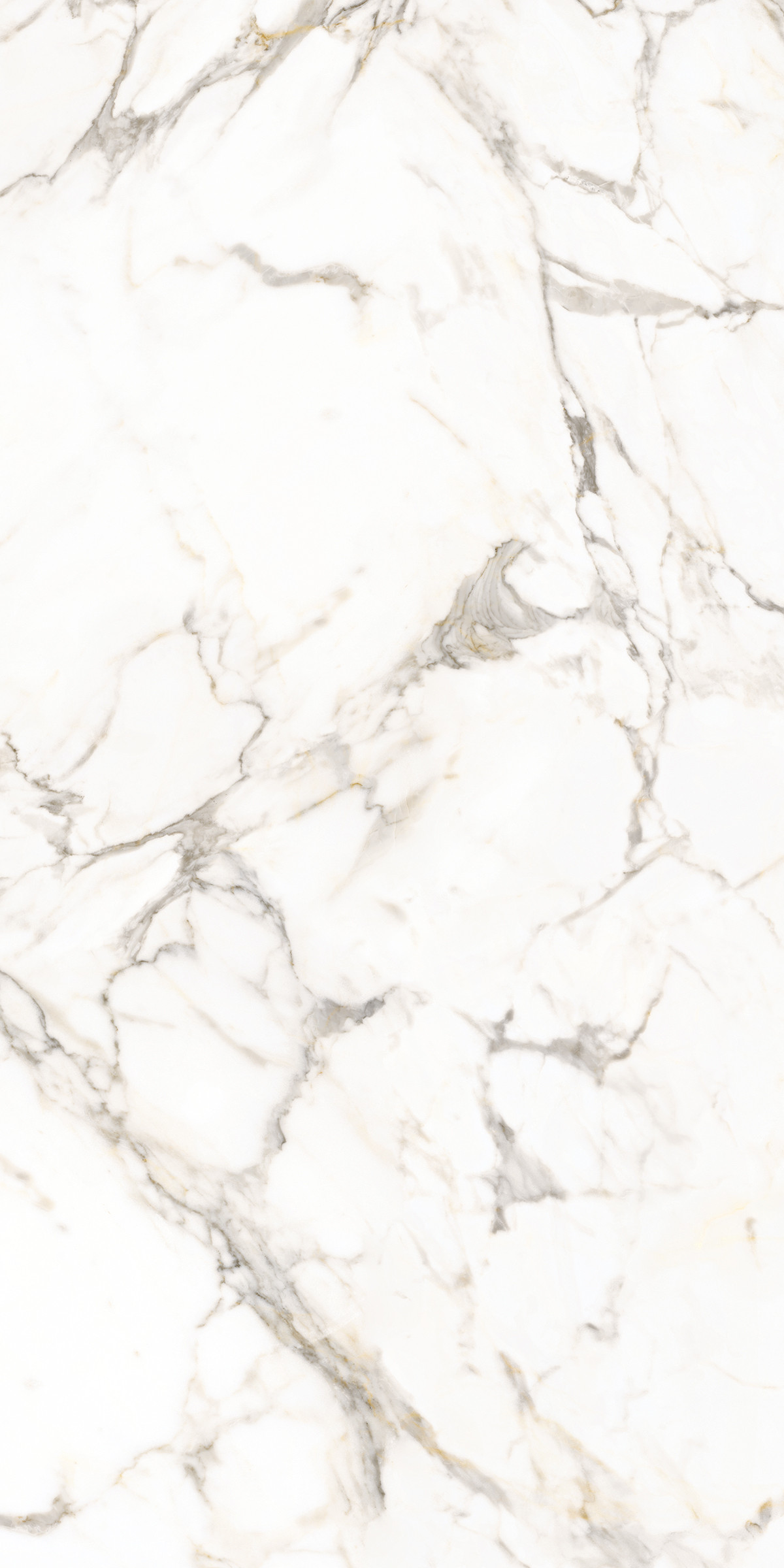 BIANCO CARRARA_1